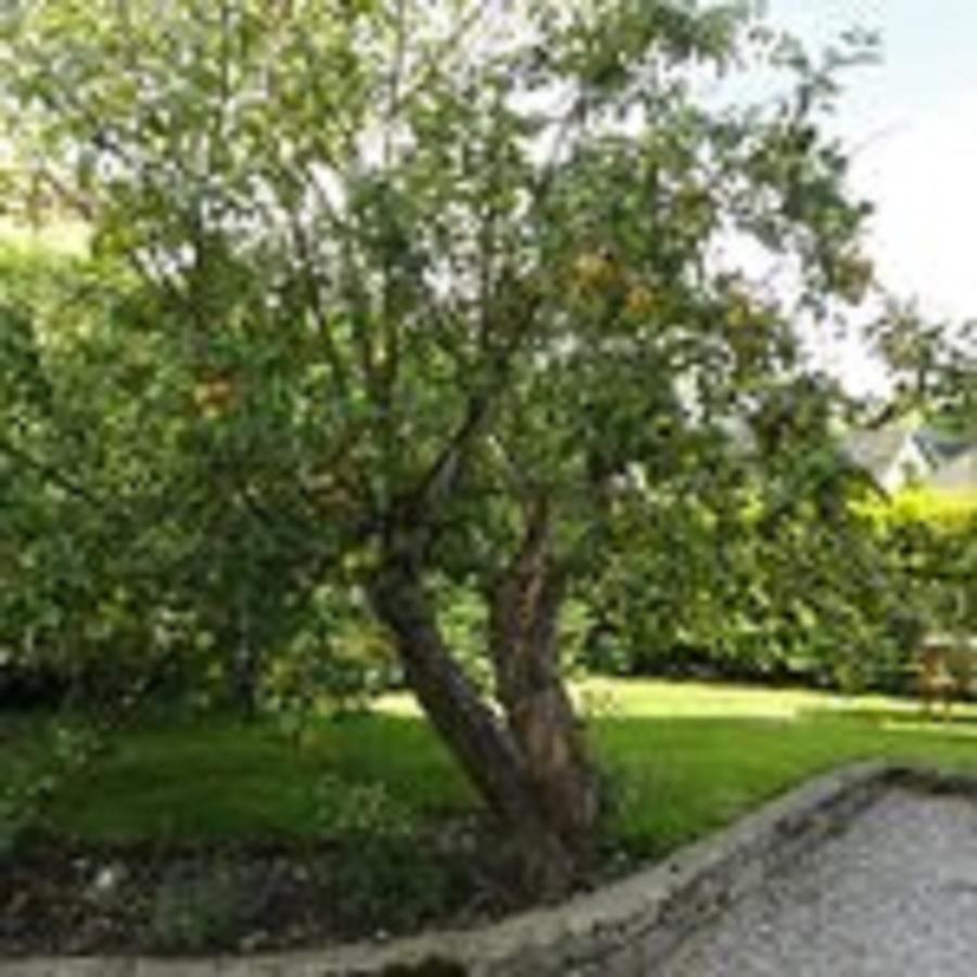 Cheshire House Guest House Хоп Экстерьер фото